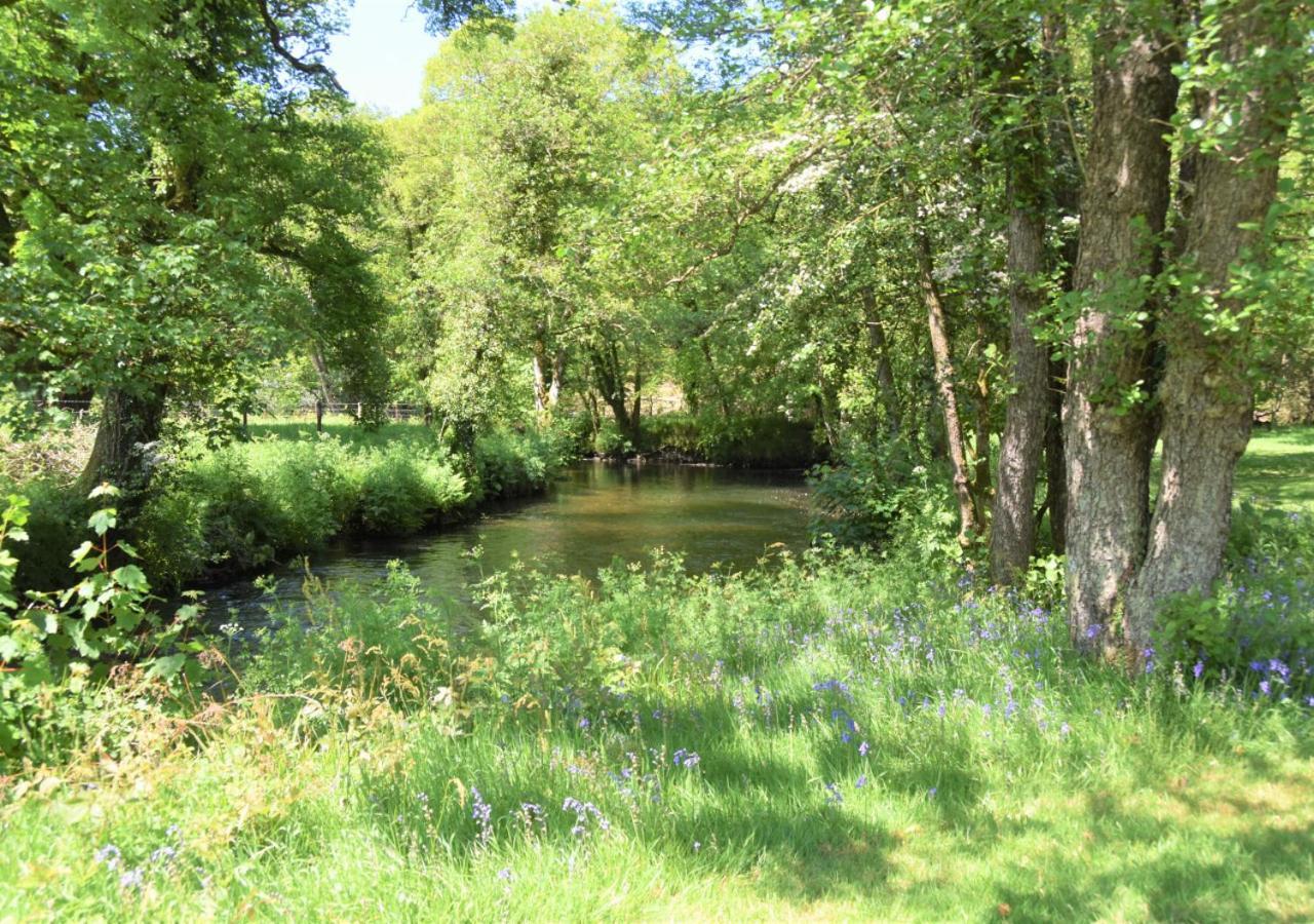 River Lodge - Cornwall Cardinham Eksteriør bilde